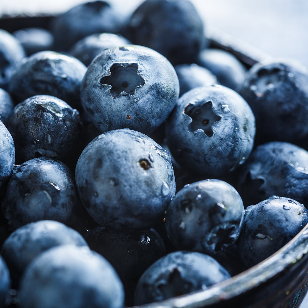 Fresh Blueberry Goat Milk Soap