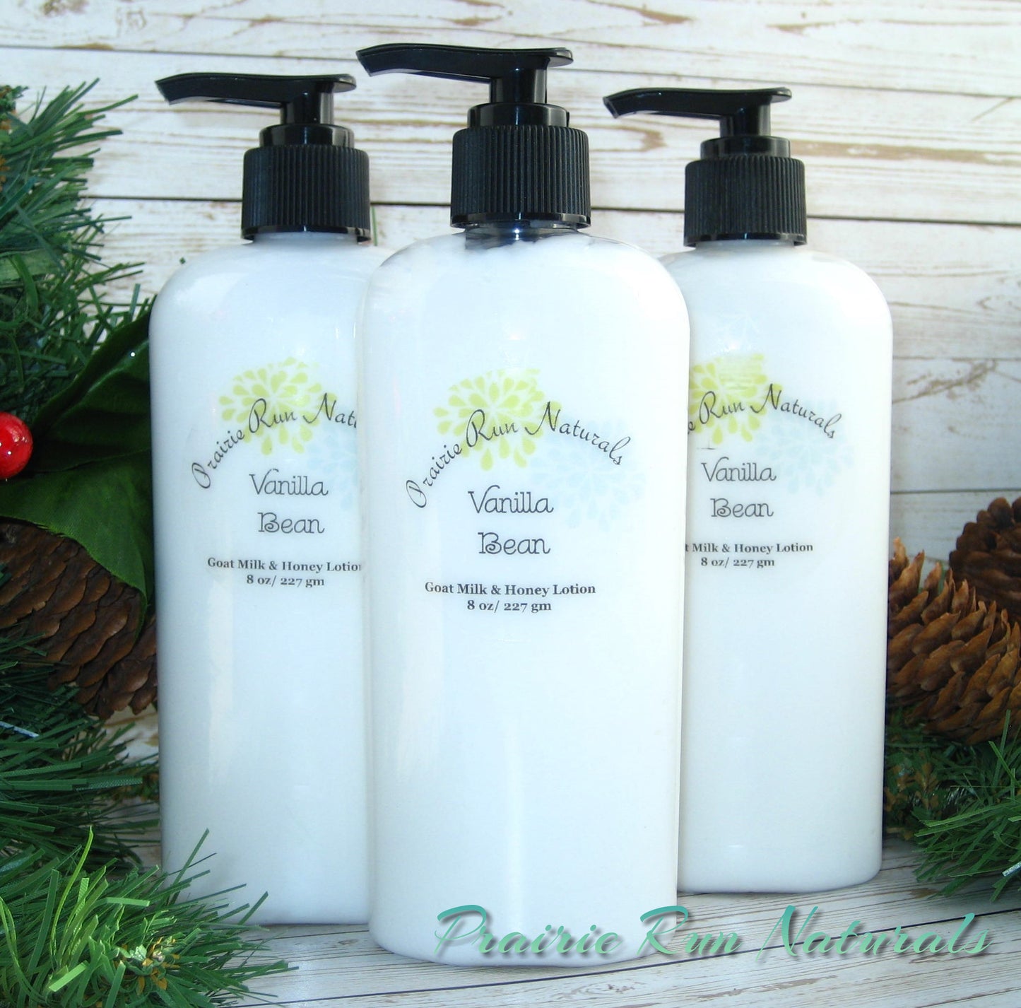 Vanilla Bean Lotion 3